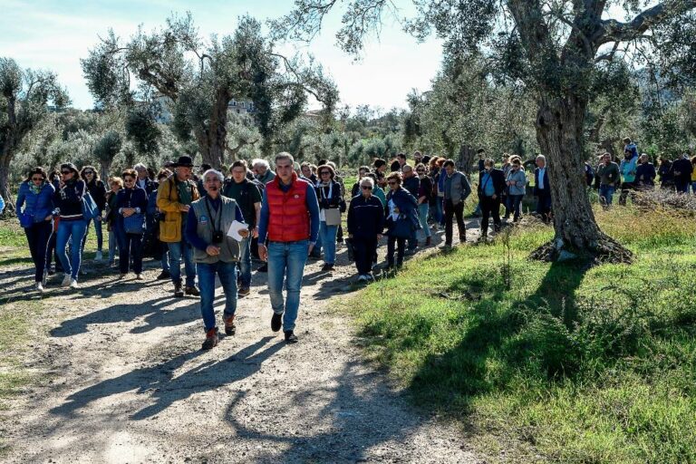 Oleoturismo Camminata Tra gli Olivi